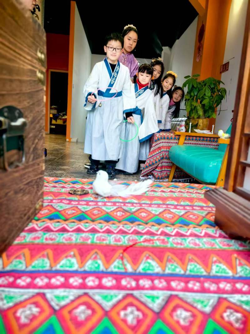 青山区文旅项目策划